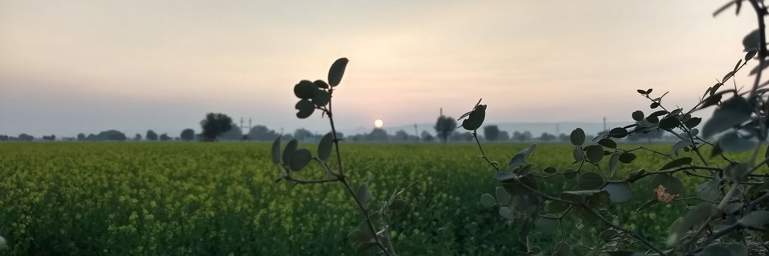 das7411's profile banner image