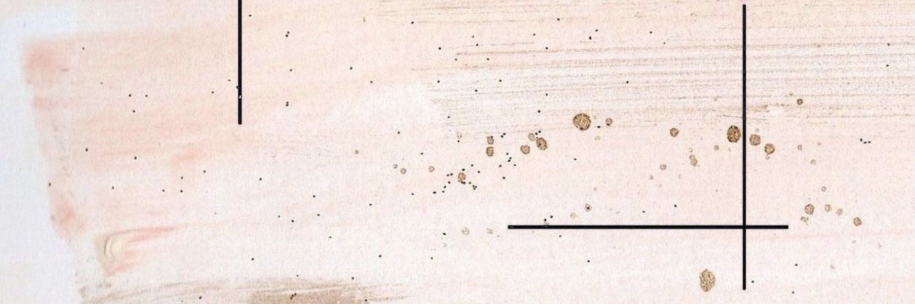 lejomeba's profile banner image