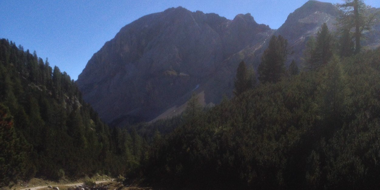 Carlo Martini banner