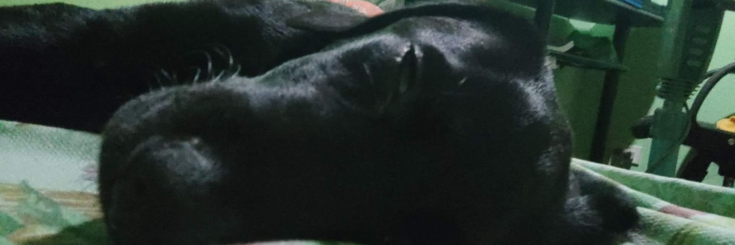 Plong2xko's profile banner image
