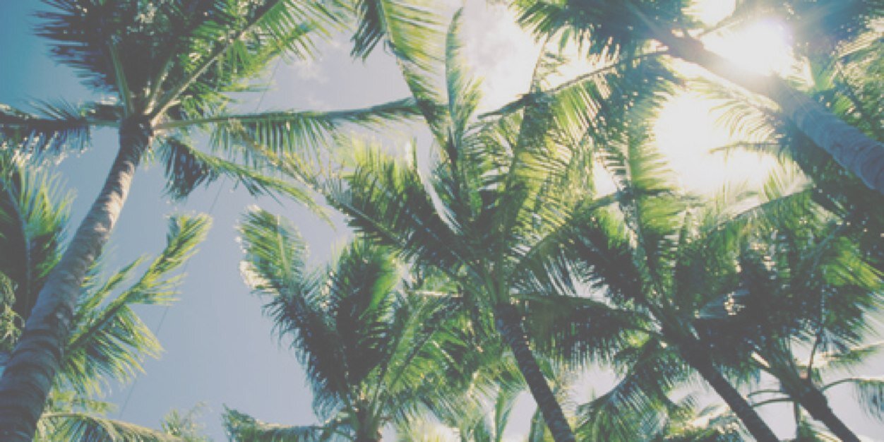 TaylorCoxPB's profile banner image