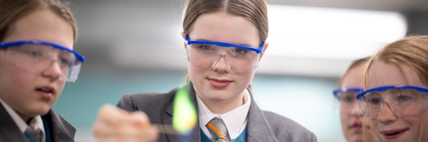 Teddington School banner