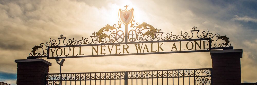 Matthew Rees banner