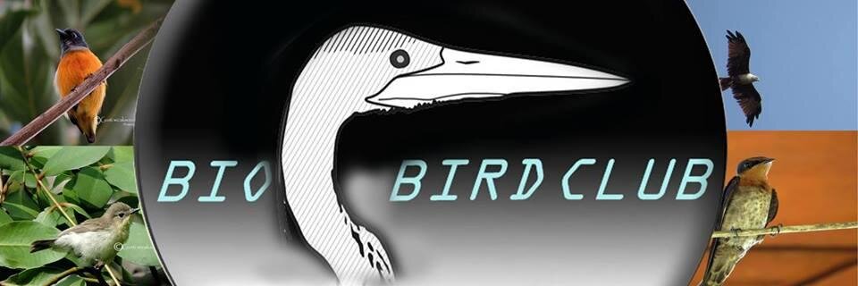 BBC_unas's profile banner image