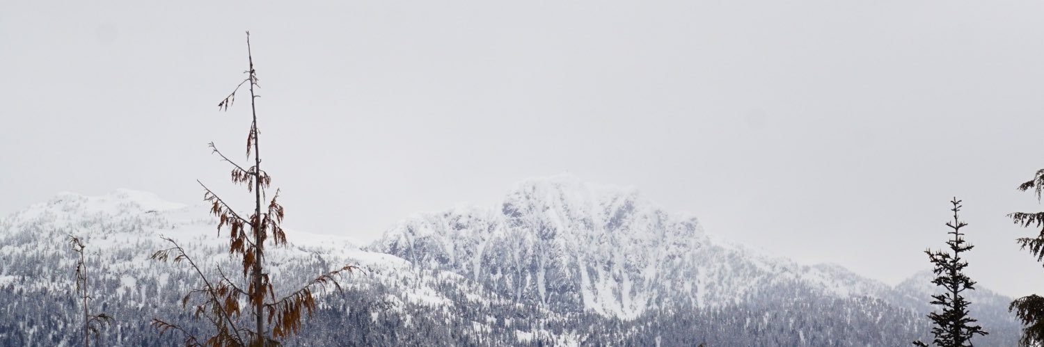 Matt Routliffe banner