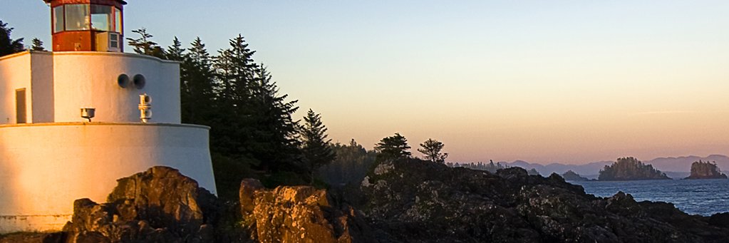 rexleon3's profile banner image