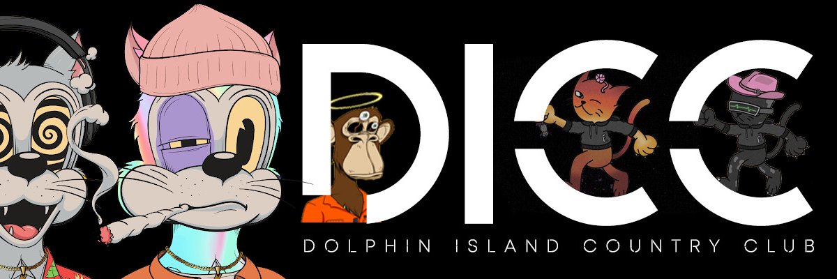 DICCNFT's profile banner image
