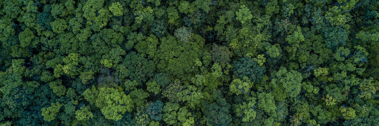 Permian Global banner