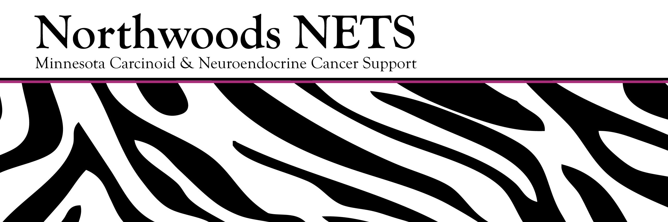NorthwoodsNETS's profile banner image