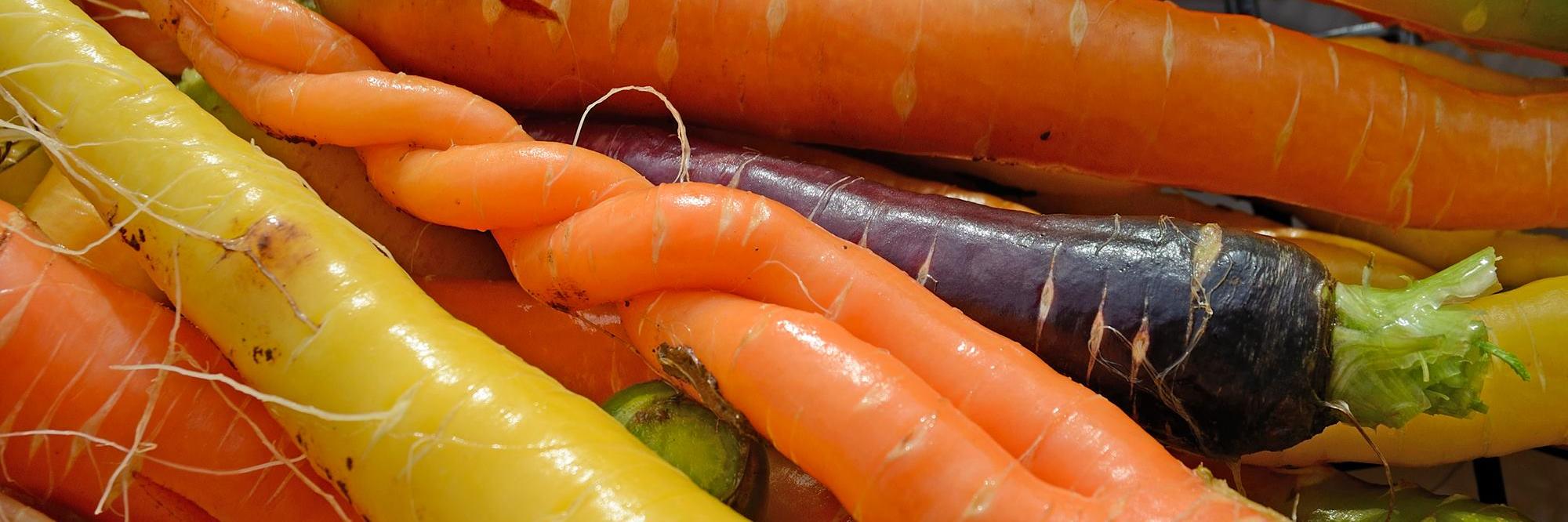 Slow Food Trieste banner
