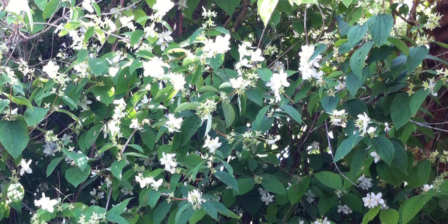 Vicky García banner