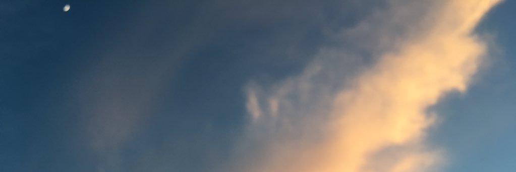 Max_Johnson's profile banner image