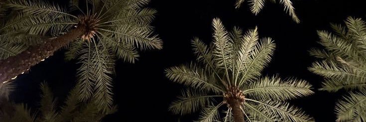 azoozmol's profile banner image