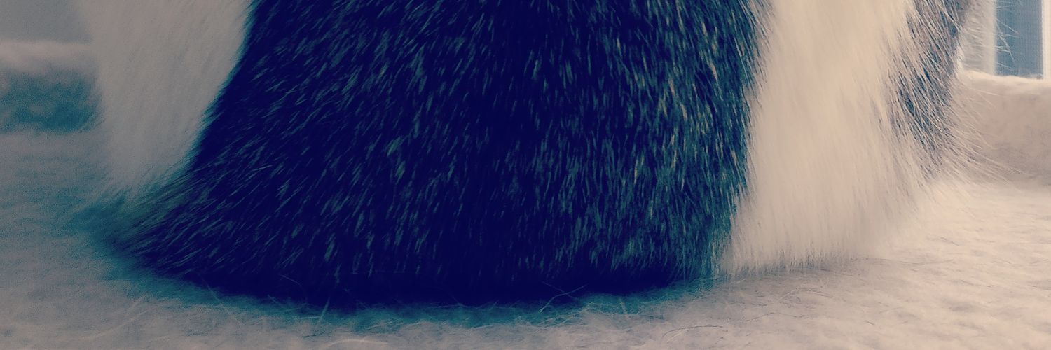 kokuei's profile banner image