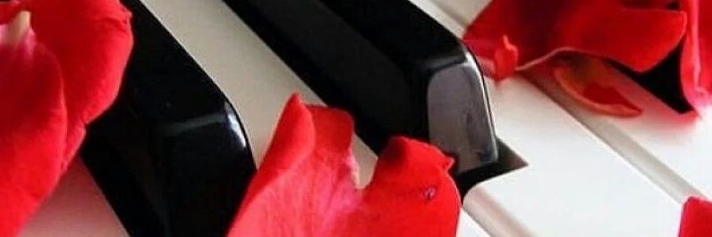 caramela40's profile banner image