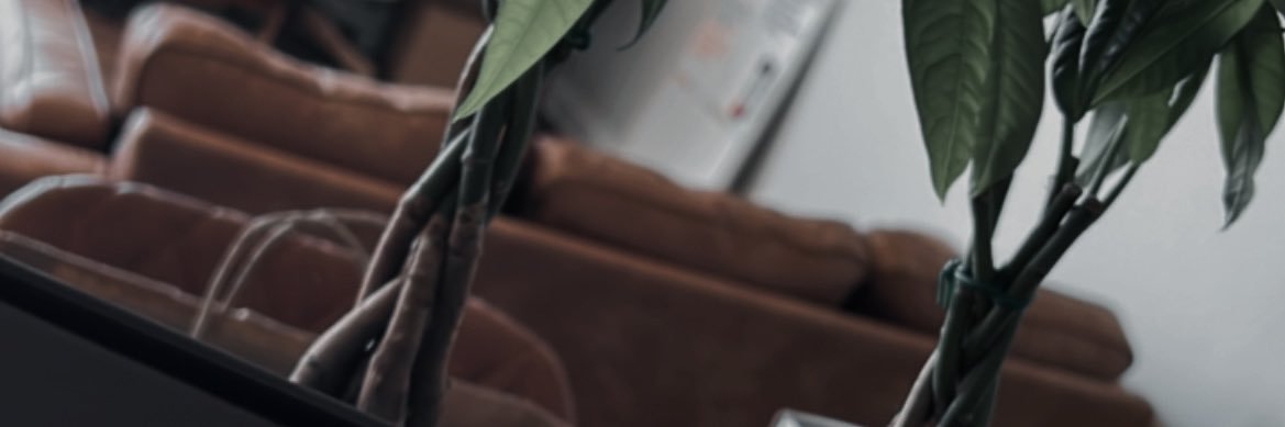 BrandonSPerez's profile banner image