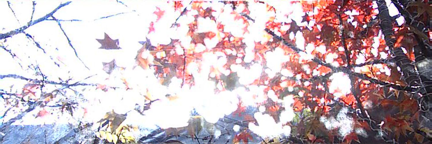 tyd6506stk's profile banner image