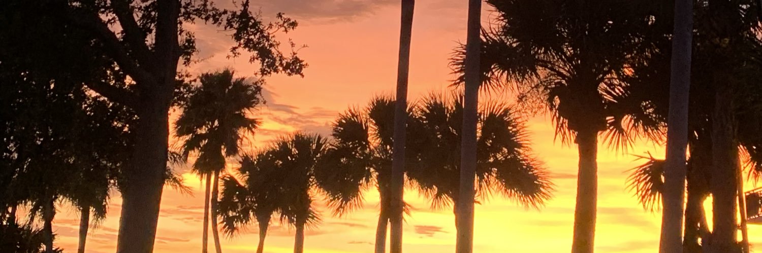 CaitlynTrap's profile banner image