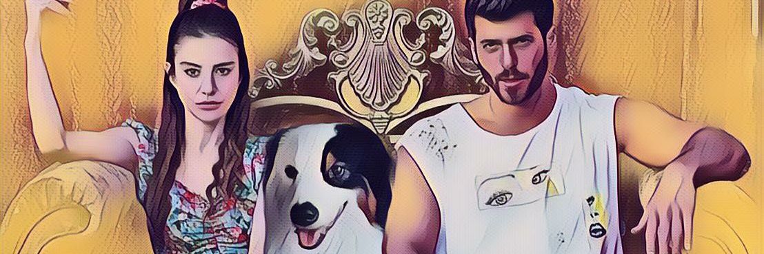 sil4bel's profile banner image