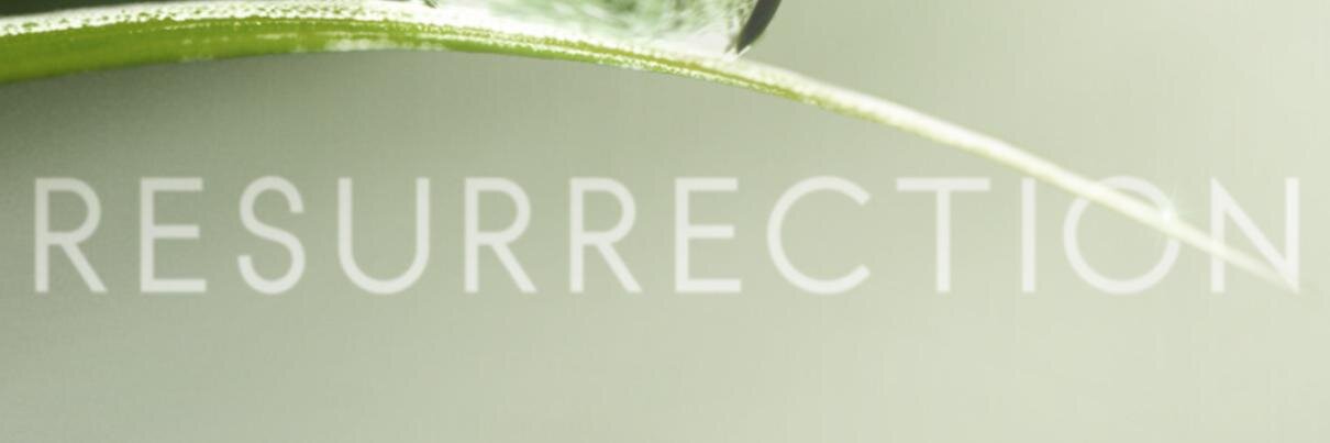 Resurrectioneer's profile banner image