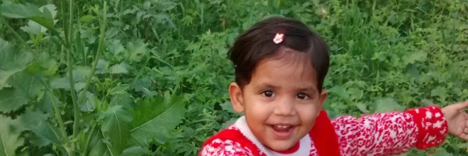 gopalmall14's profile banner image