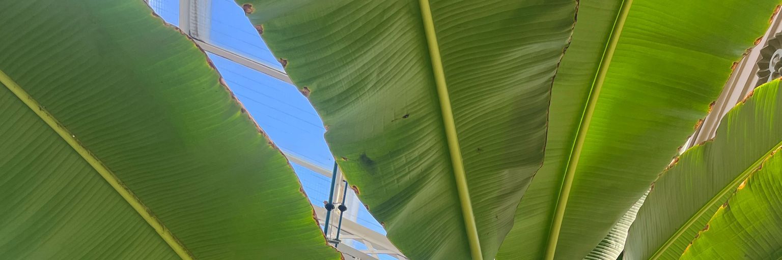 albaorteu's profile banner image