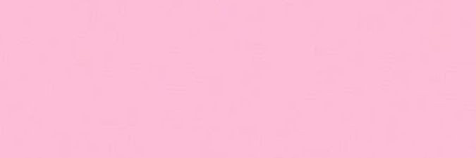 Princess J banner
