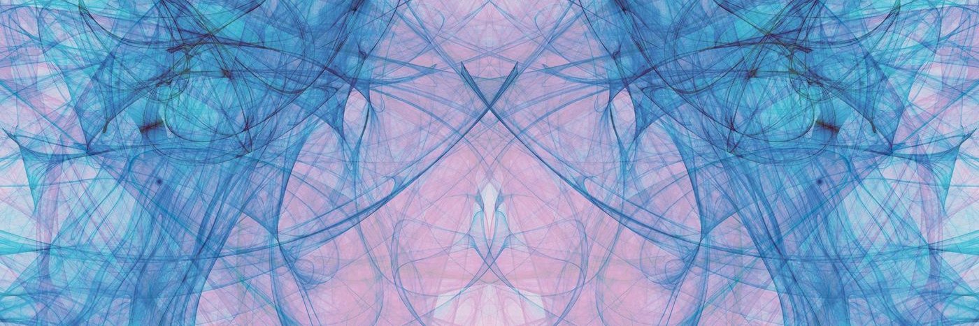 Veronica Petro banner