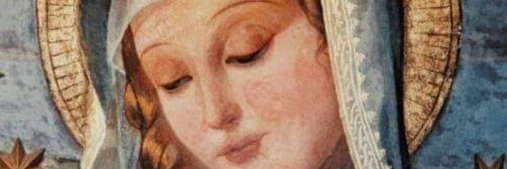 roxana409's profile banner image