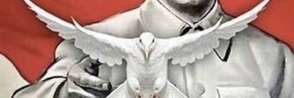 Rocko64_ Profile Banner