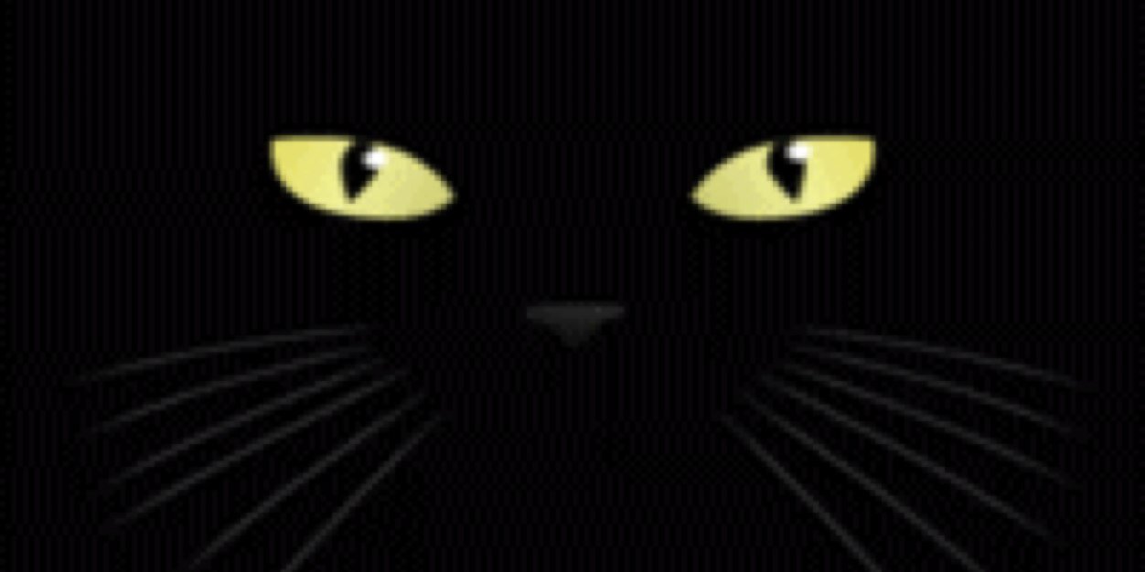 dheyool's profile banner image