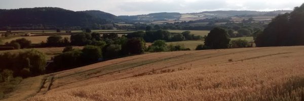 redique Profile Banner