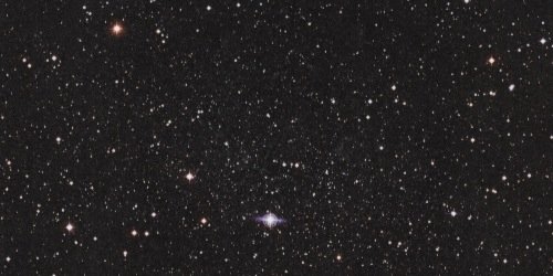 xDarlingDallas's profile banner image