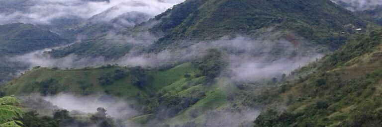 morisxyw's profile banner image
