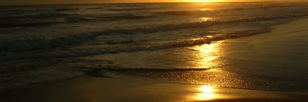 Malcolm Otero Barral banner