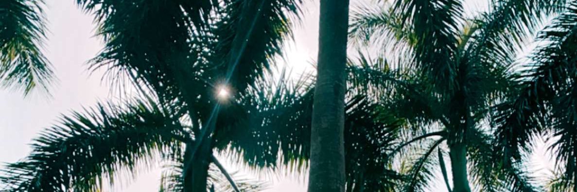 mallolz's profile banner image
