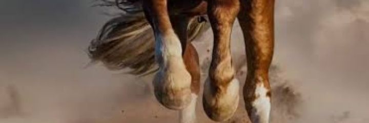 sajinbc's profile banner image