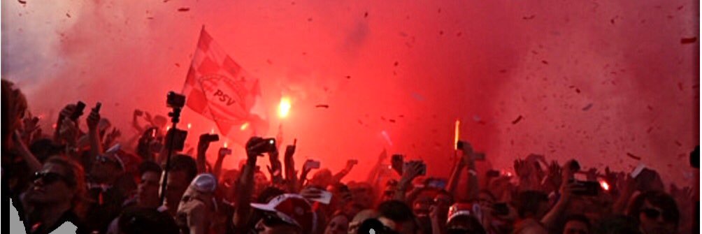 Niels banner