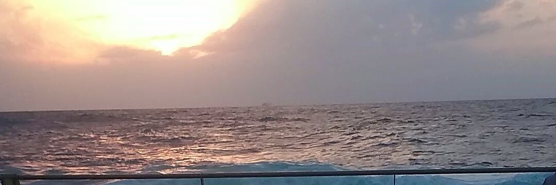 hanoo 🇸🇦 banner