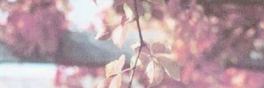 Marcela_mtzg's profile banner image