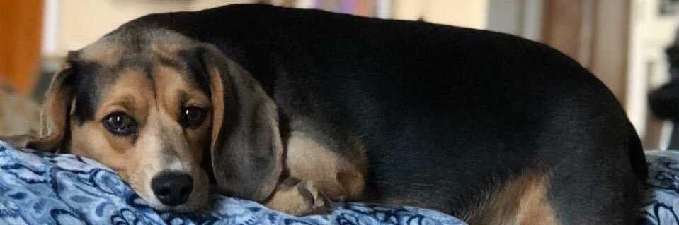 JoyceJMoney's profile banner image