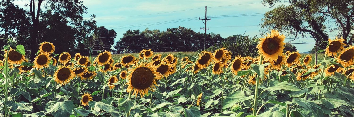scooke_'s profile banner image