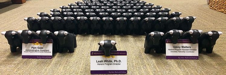 MNSUHonors's profile banner image