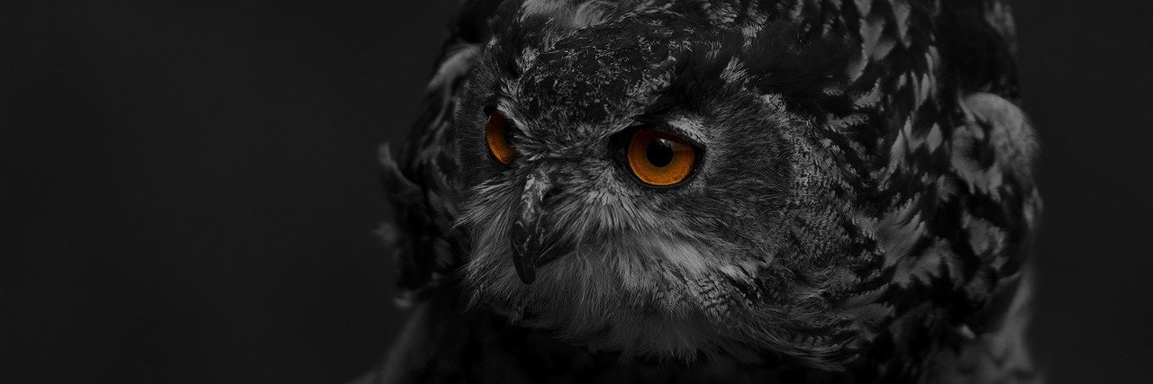 Ariesto Kosasih banner