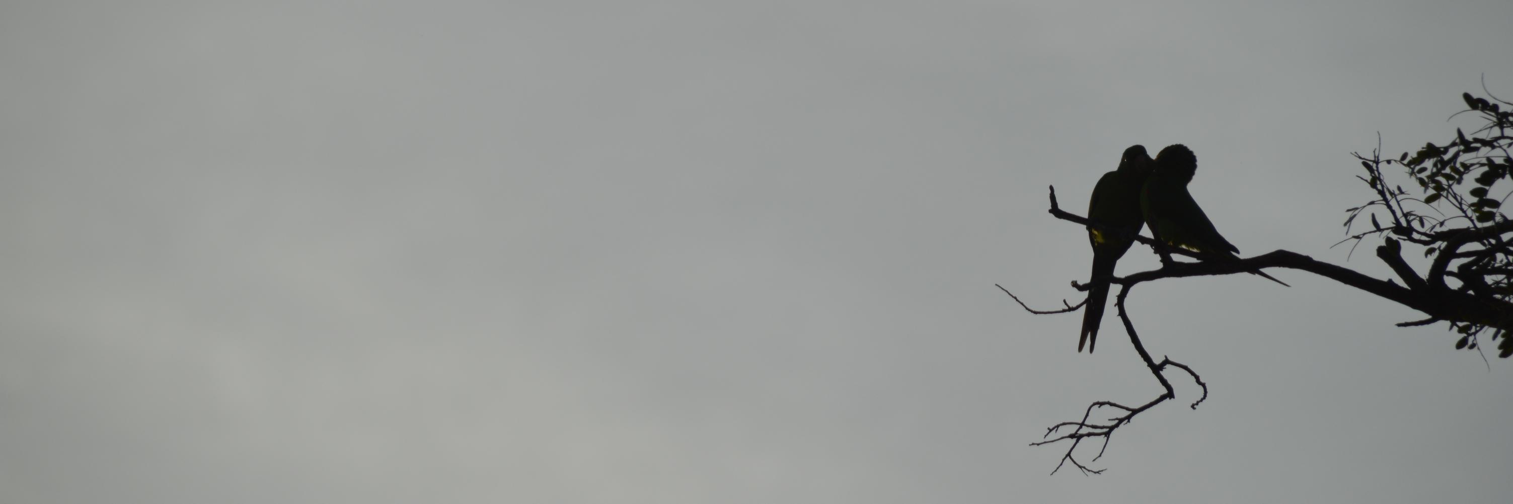 biahadler's profile banner image