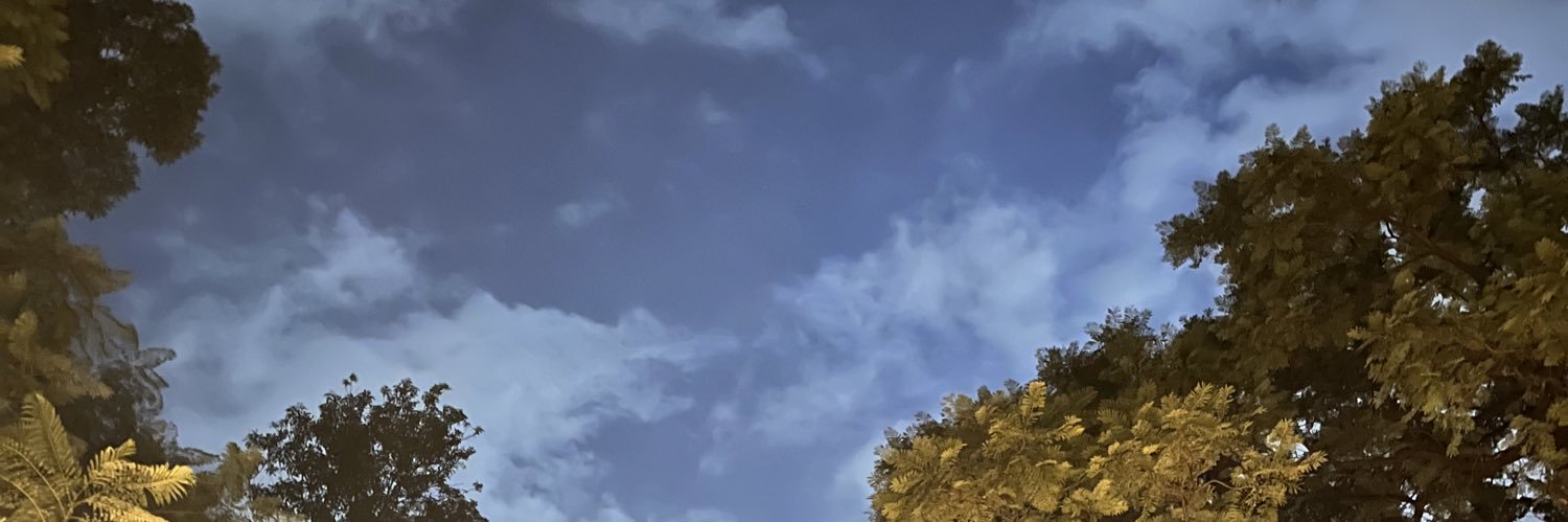 froyvicious's profile banner image