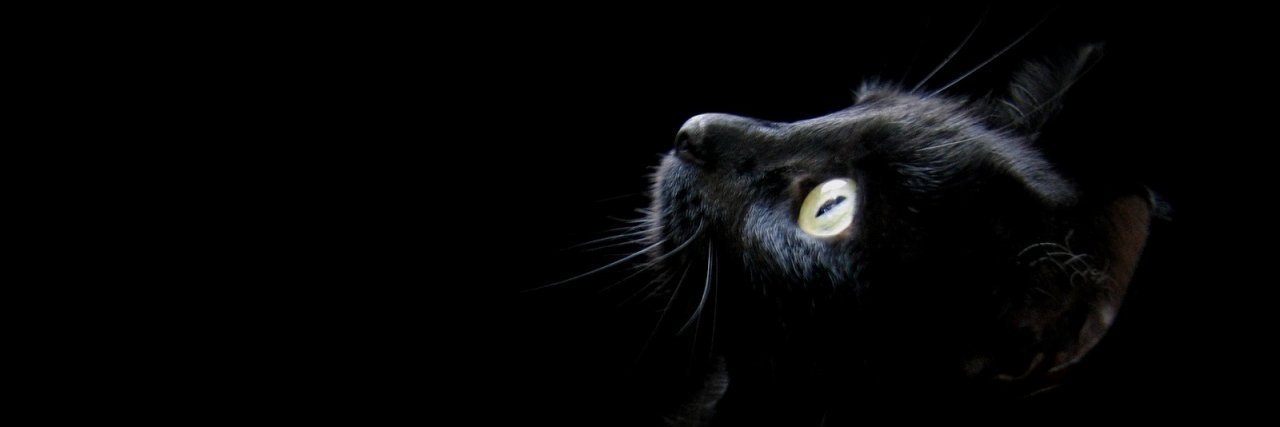 Vivi banner