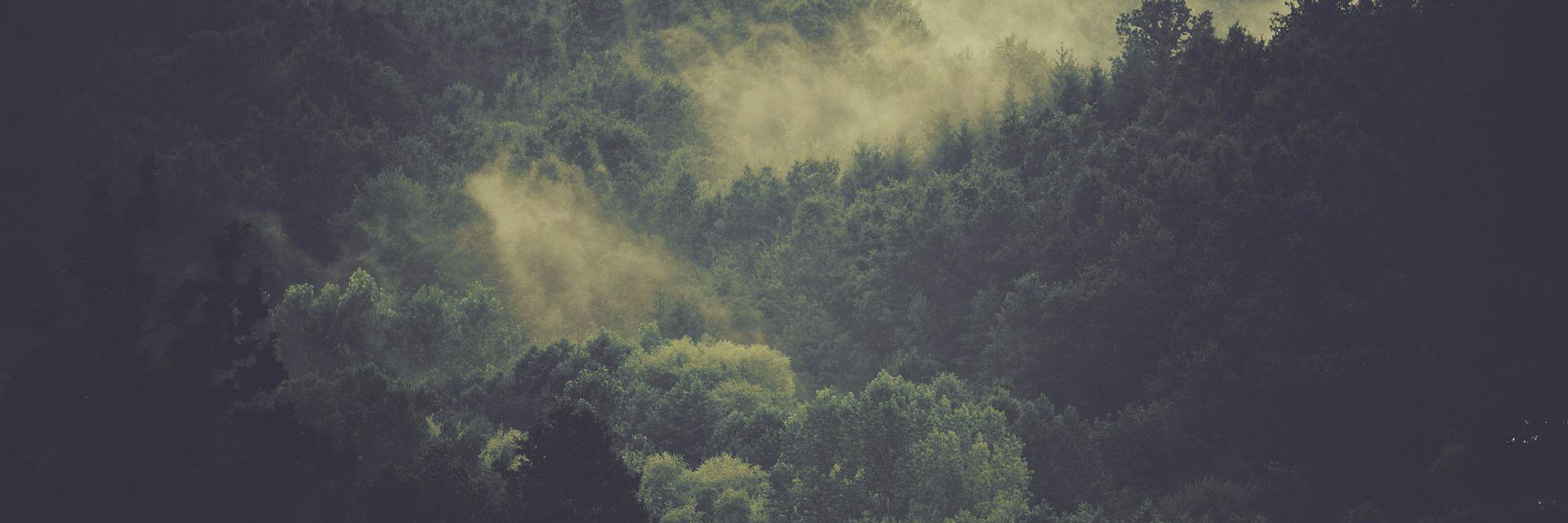 WadeMadeCo's profile banner image