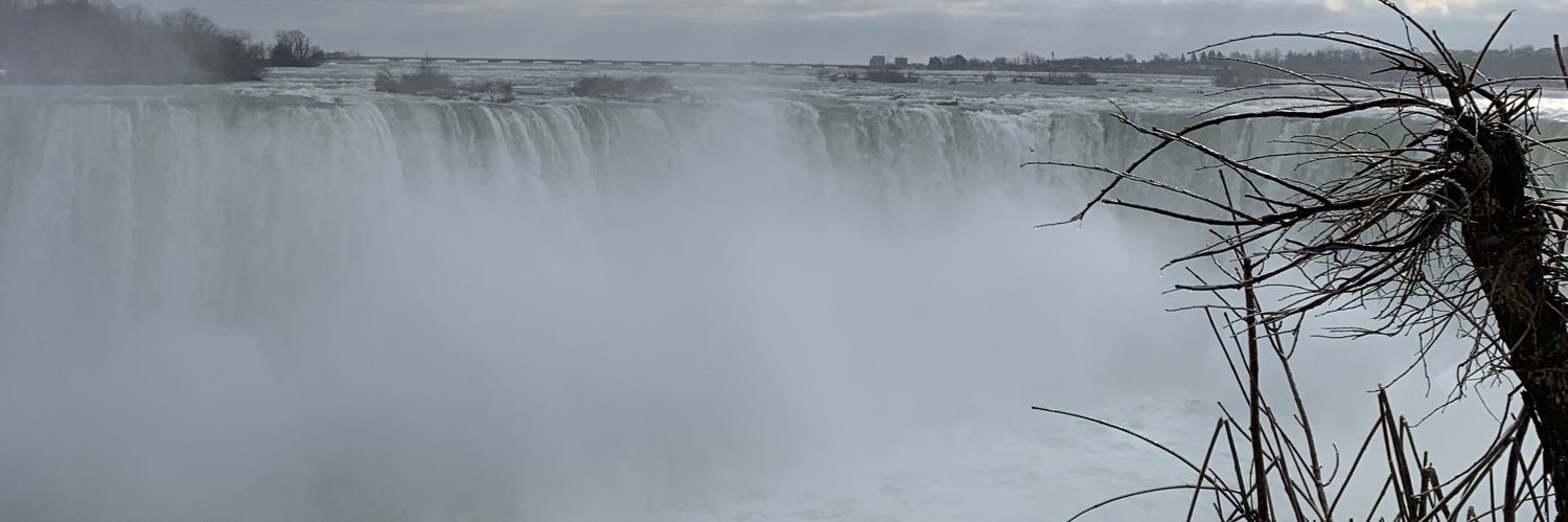 11Brooklynw's profile banner image