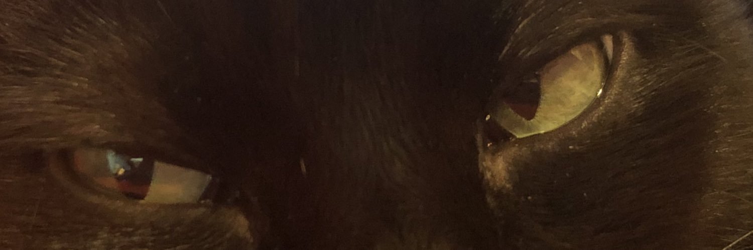 WeLikePhilip's profile banner image